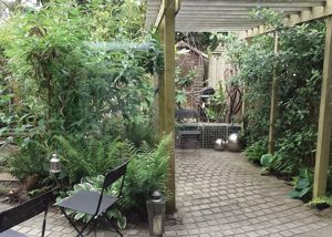 Garden (Summer photo)- click for photo gallery